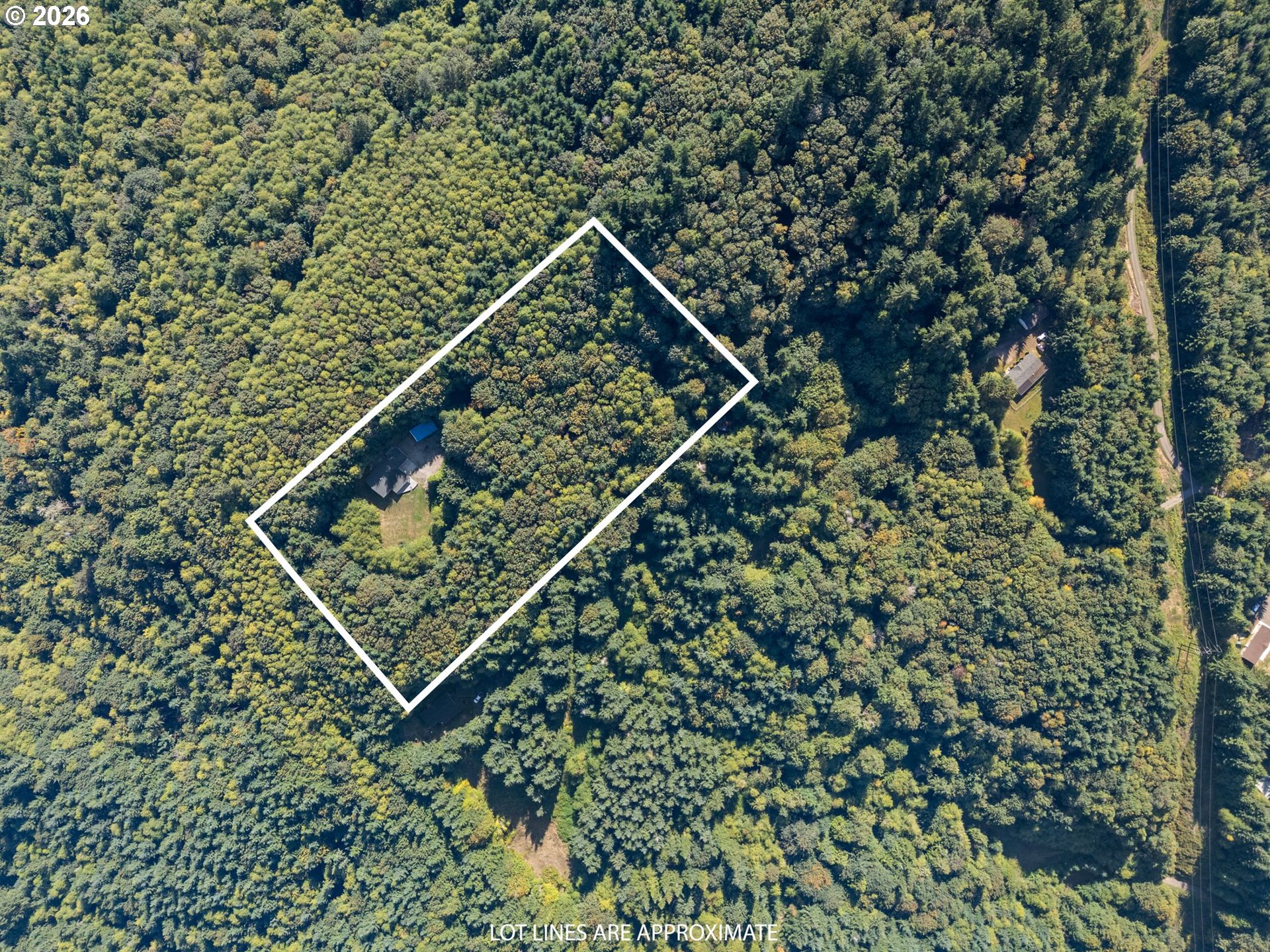 410 Vivian Road Kalama, WA 98625 - Photo 9 of 46 Gallery Image 9
