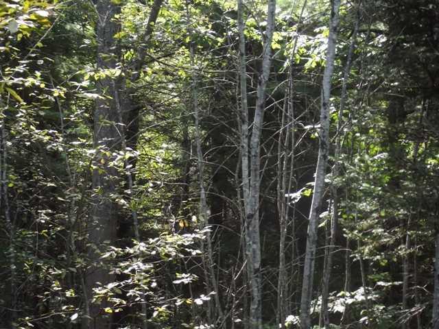 319 Nowell Road Winslow, ME 04901 - Photo 3 of 7 Land/Lot.