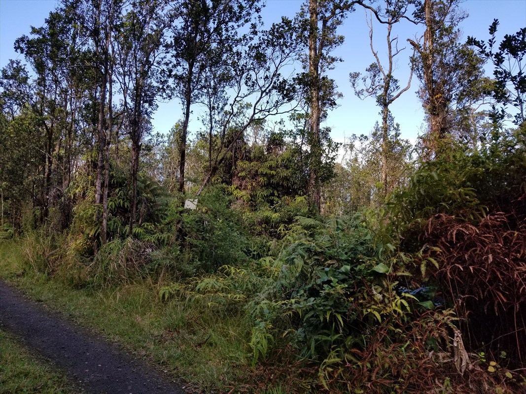 13 Omaomao Road Pahoa, HI 96778 - Photo 2 of 2 Gallery Image 2