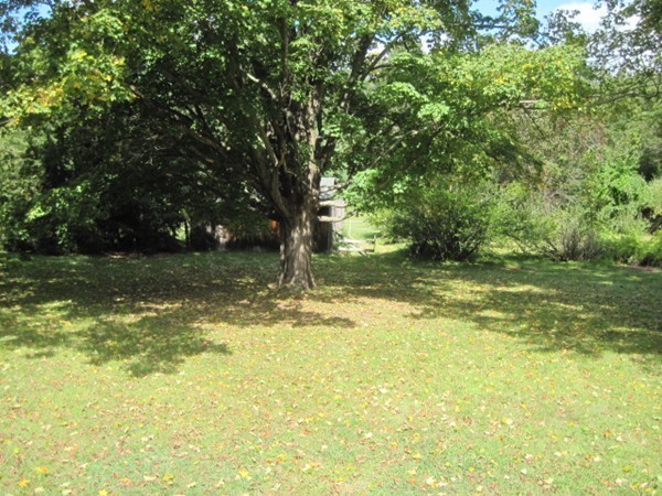 56 Mill Road East Longmeadow, MA 01028 - Photo 19 of 24 Gallery Image 19