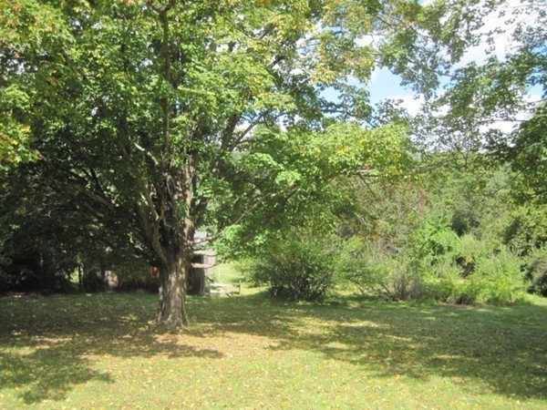 56 Mill Road East Longmeadow, MA 01028 - Photo 21 of 24 Gallery Image 21