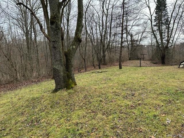 2.76 Perry Lake Road Ortonville, MI 48462 - Photo 4 of 8