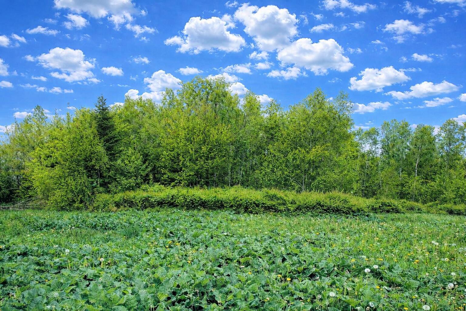 16 A Chadwick Pt Road Danforth, ME 04424 - Photo 5 of 5 1 16A Chadwick Point Rd 2