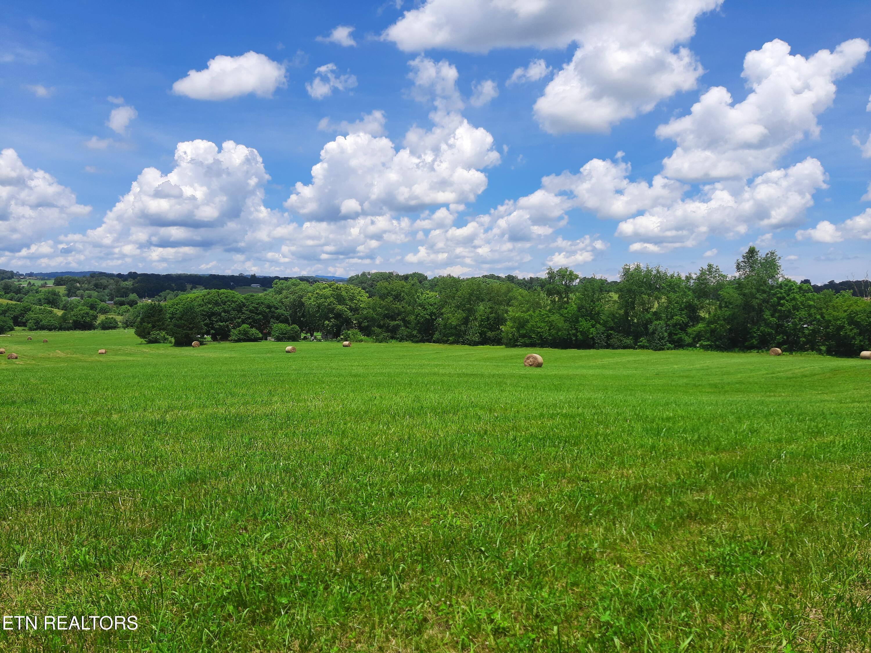 1290 Clear Springs Road Limestone, TN 37681 - Photo 3 of 7 3) 61883-68a5d1a58d88e