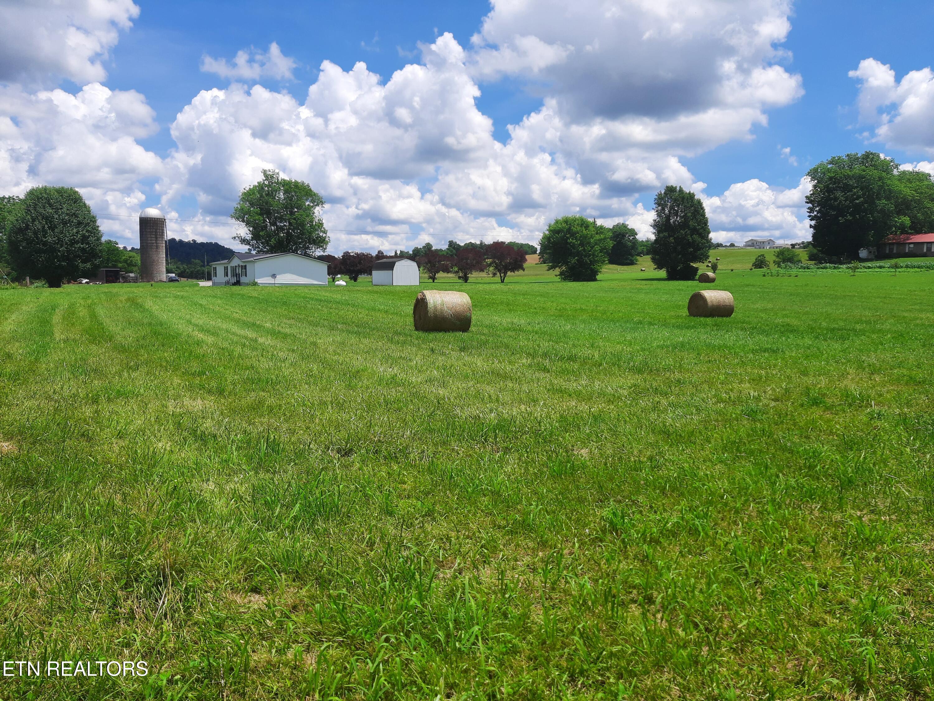 1290 Clear Springs Road Limestone, TN 37681 - Photo 4 of 7 4) 61883-68a5d1a58dac3