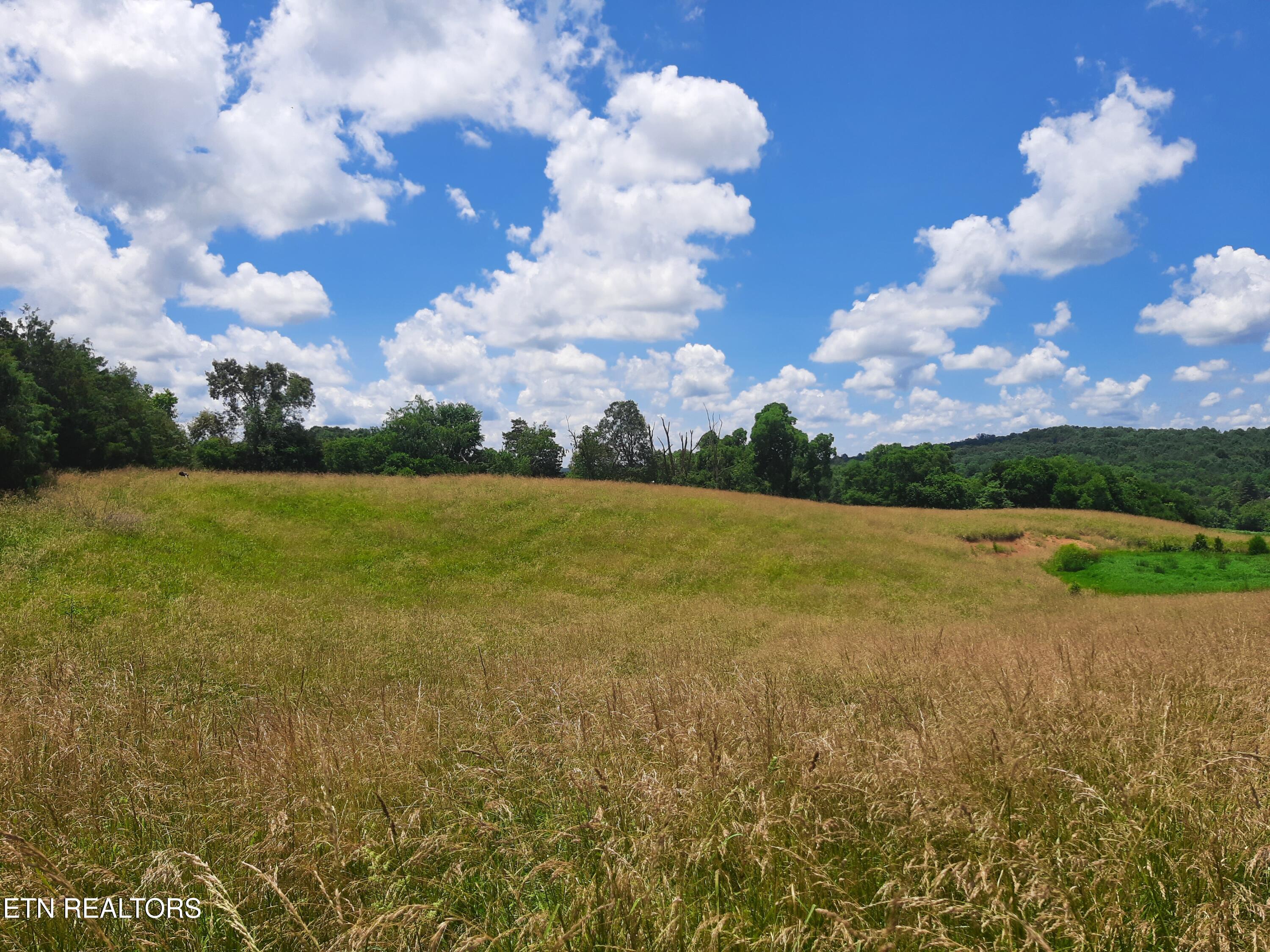 1290 Clear Springs Road Limestone, TN 37681 - Photo 5 of 7 5) 61883-68a5d1b1c412a