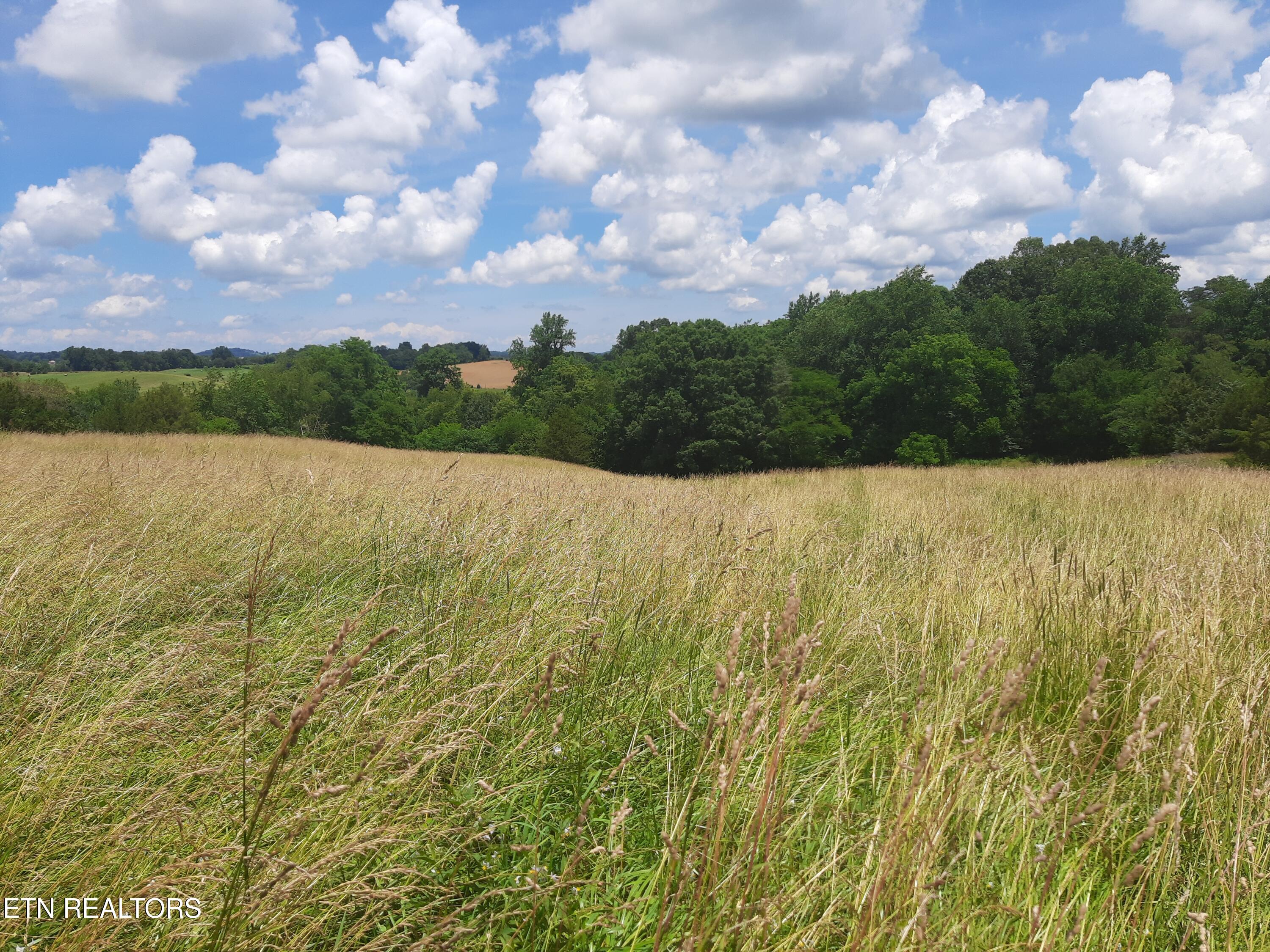1290 Clear Springs Road Limestone, TN 37681 - Photo 6 of 7 6) 61883-68a5d1b1c2965