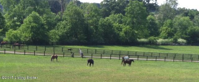 810 Leesburg Road Georgetown, KY 40324 - Photo 29 of 31 IMG_4449