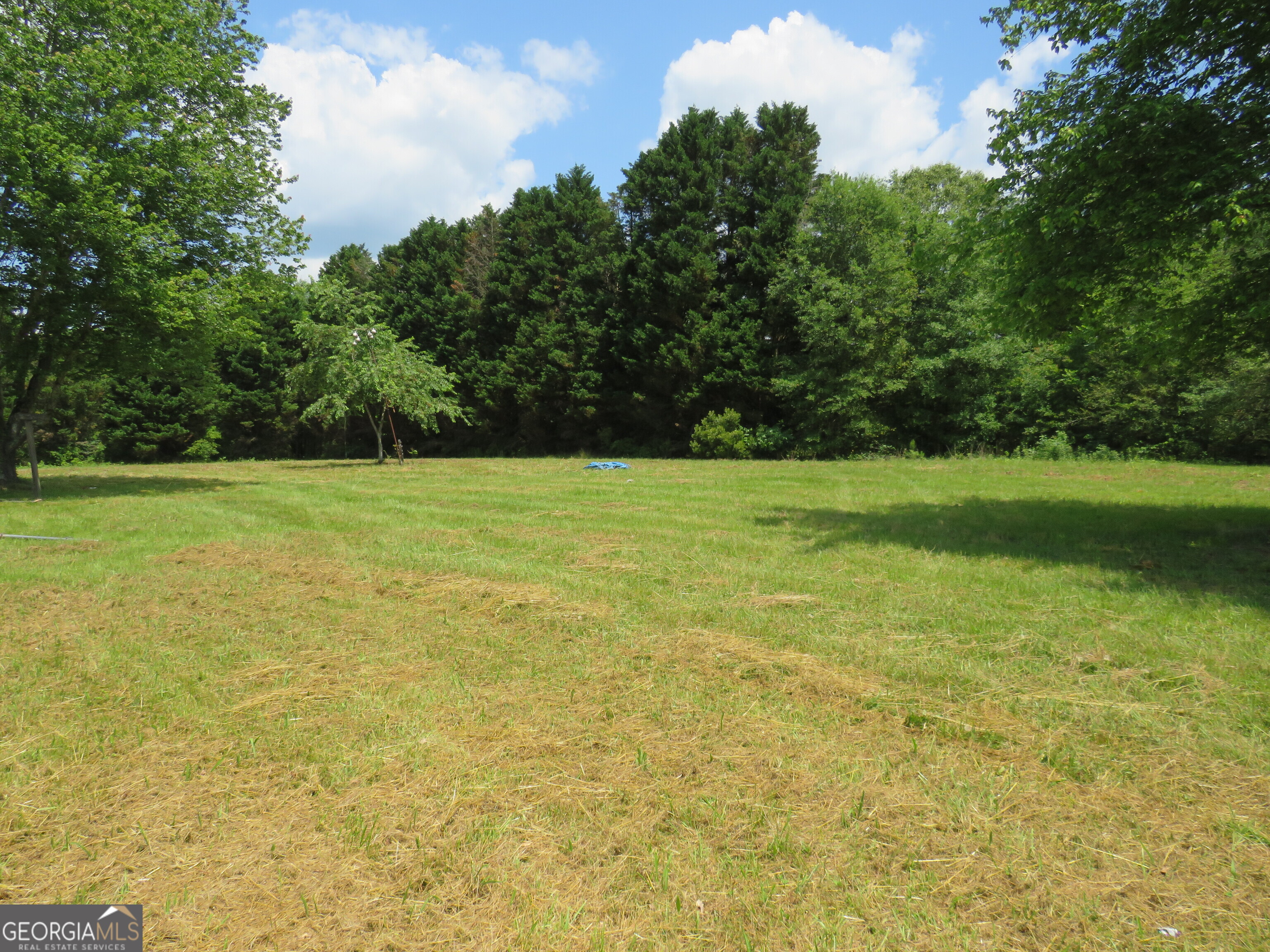 1919 Stroud Road McDonough, GA 30252 - Photo 3 of 6