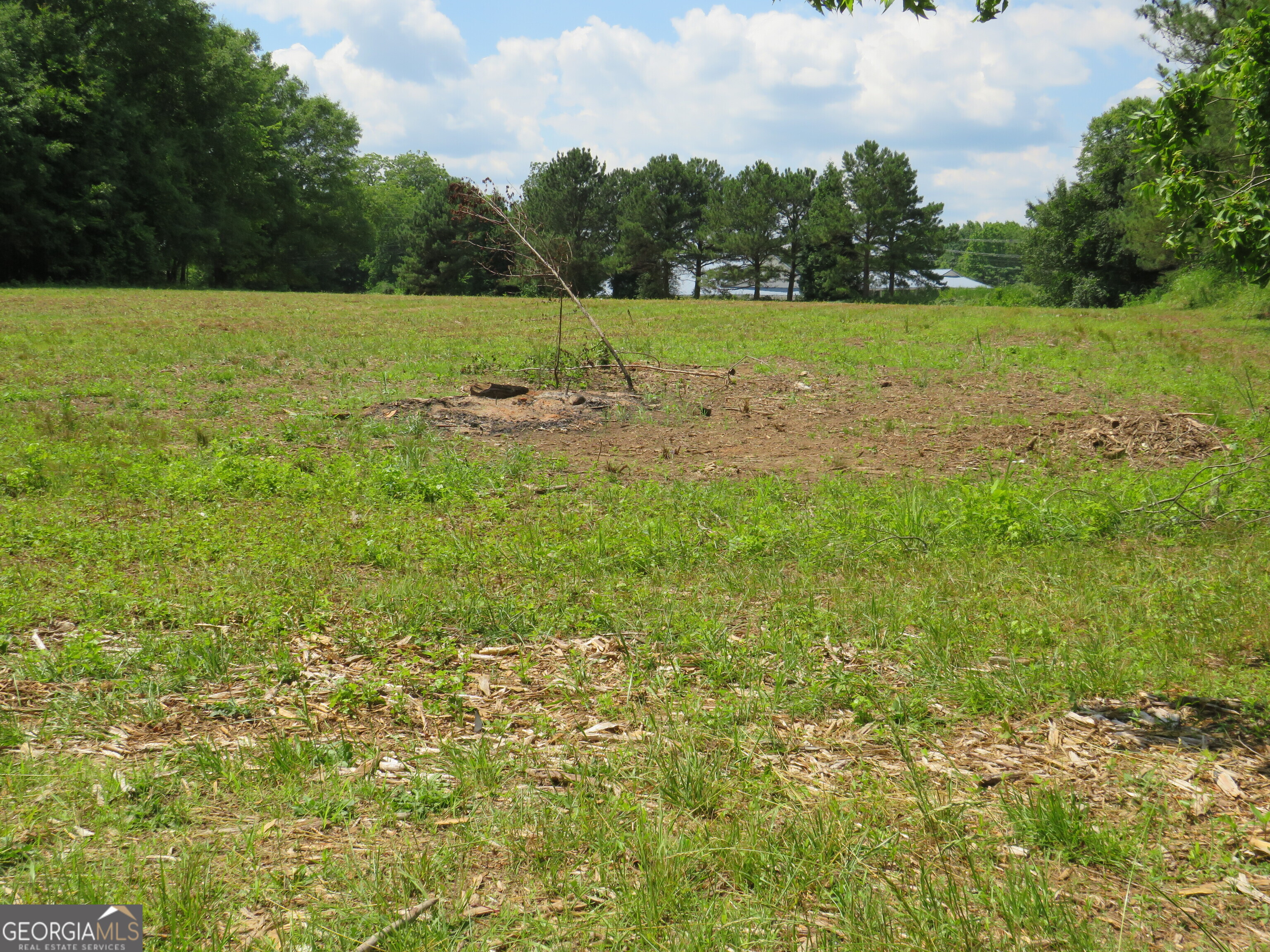 1919 Stroud Road McDonough, GA 30252 - Photo 4 of 6