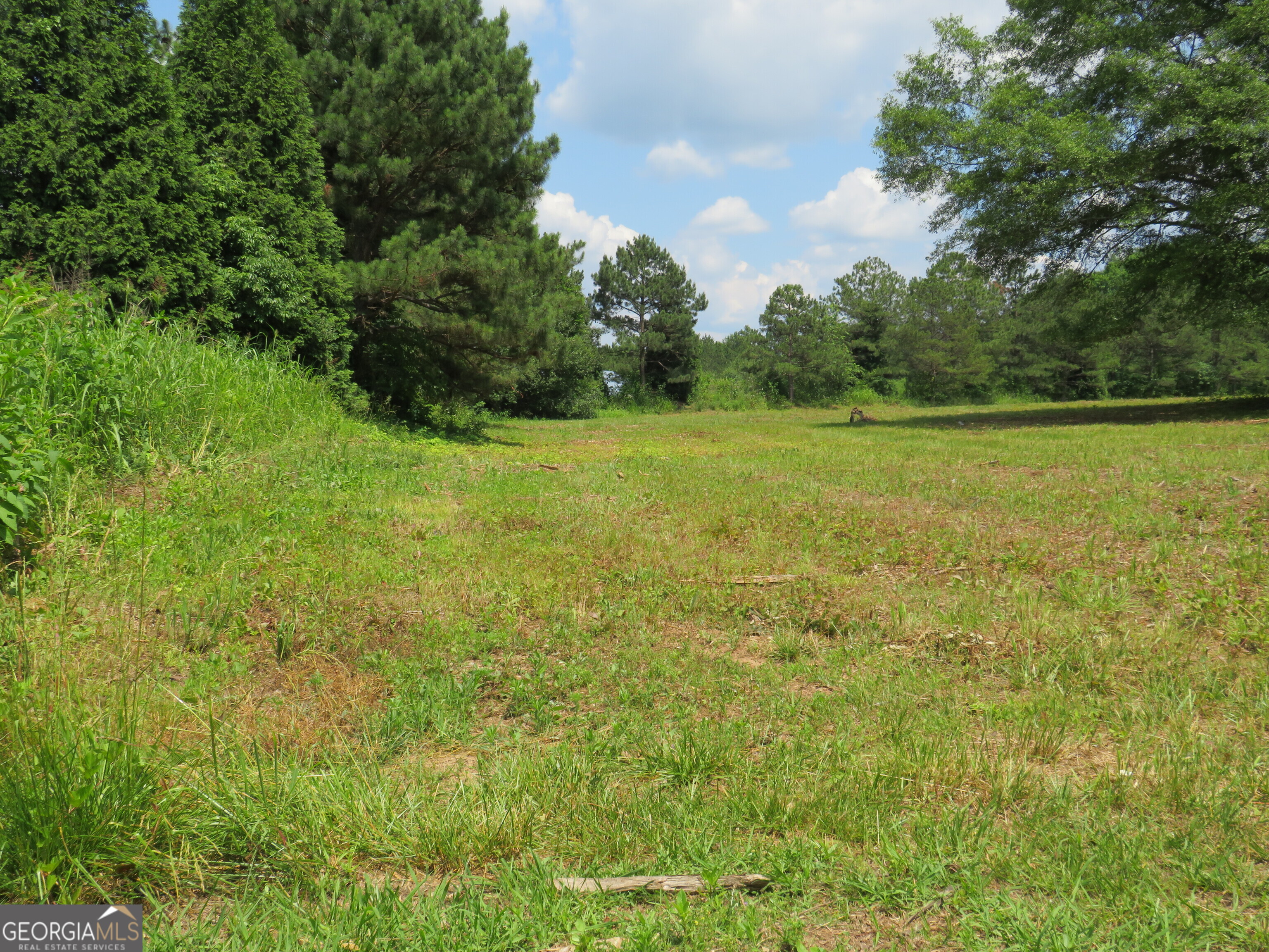 1919 Stroud Road McDonough, GA 30252 - Photo 6 of 6