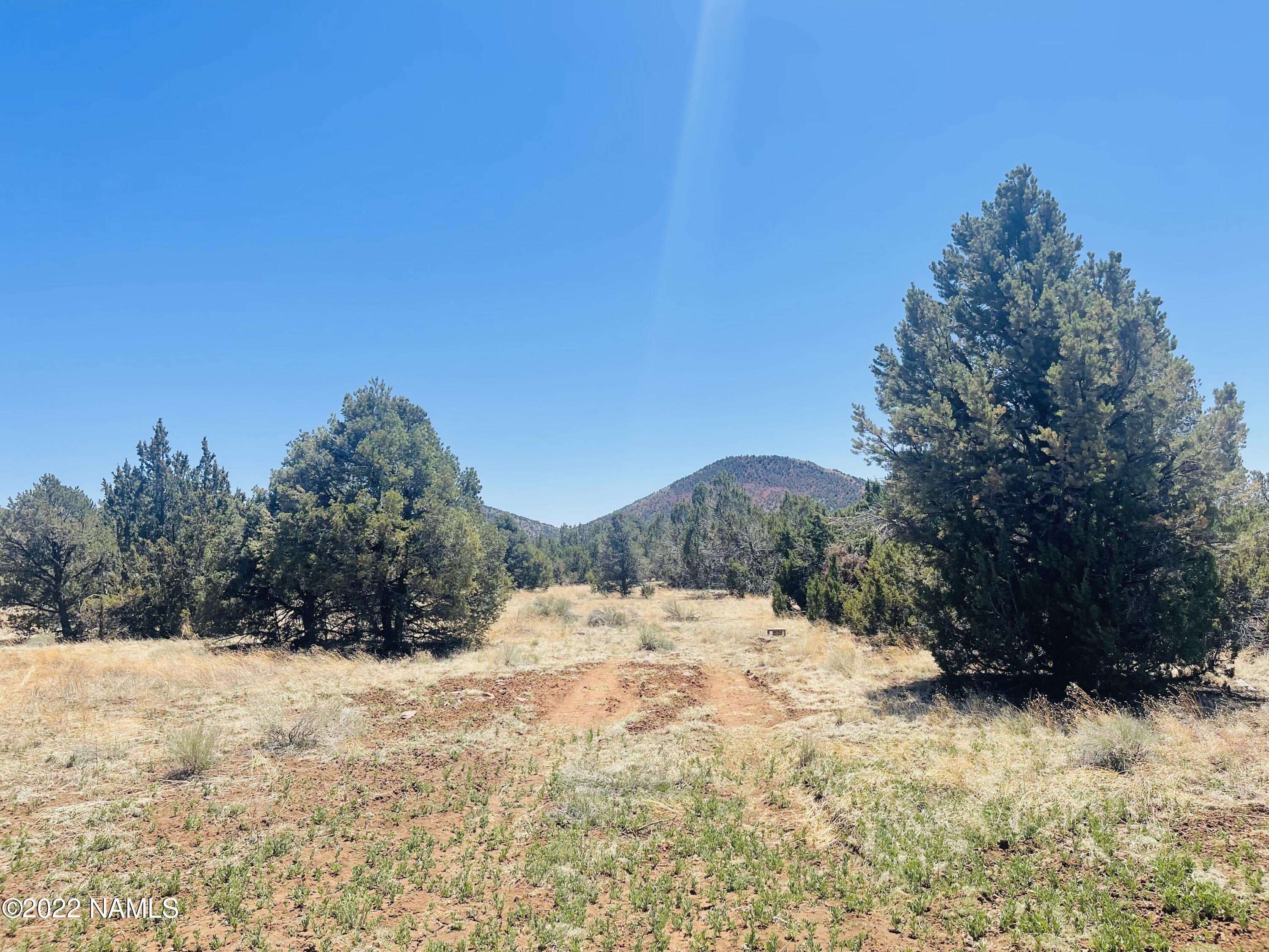 1156 Hoctor Road Williams, AZ 86046 - Photo 1 of 12 1156 E Hoctor Rd