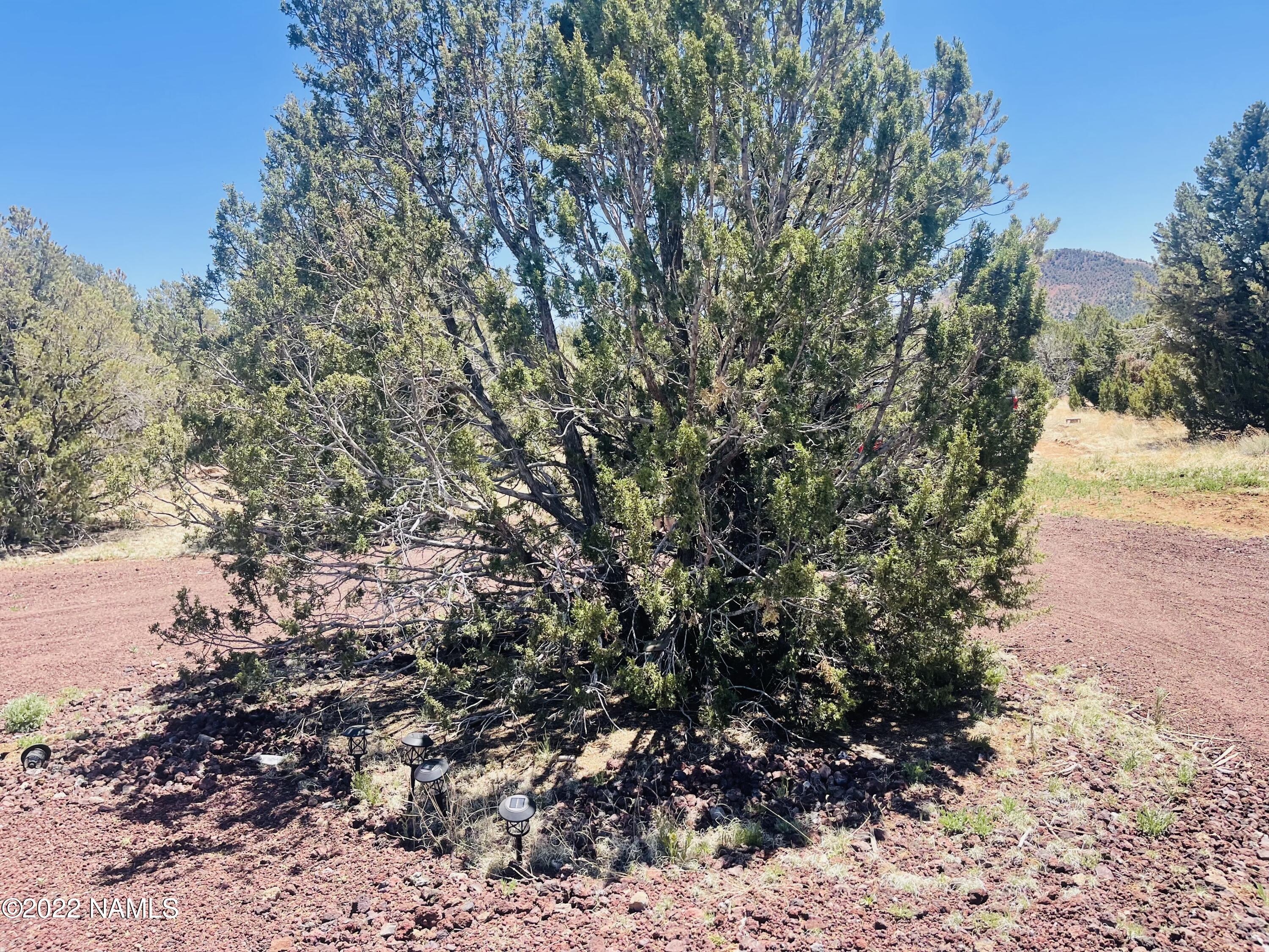 1156 Hoctor Road Williams, AZ 86046 - Photo 4 of 12 1156 E Hoctor Rd Photo 3