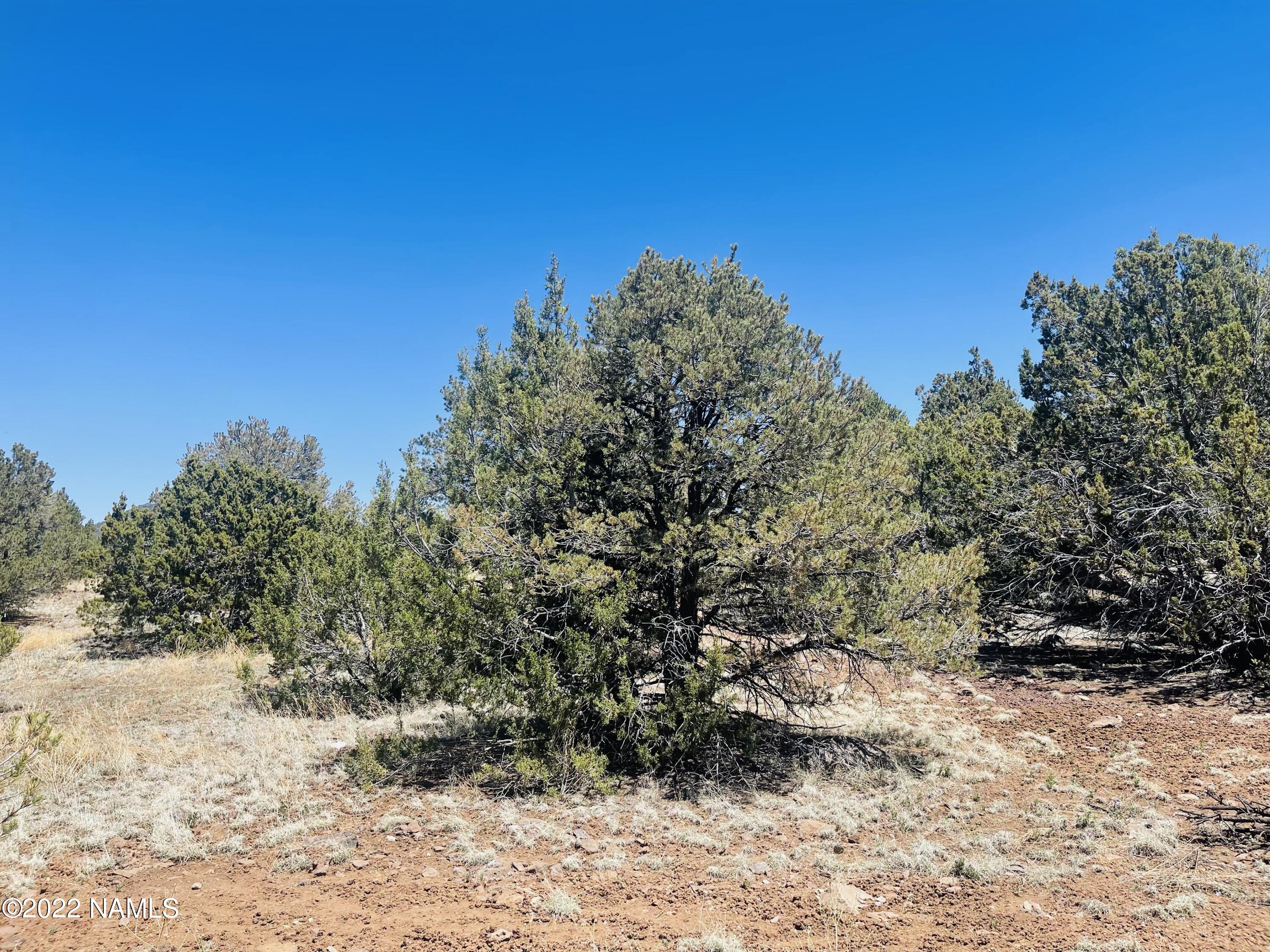 1156 Hoctor Road Williams, AZ 86046 - Photo 5 of 12 1156 E Hoctor Rd Photo 5