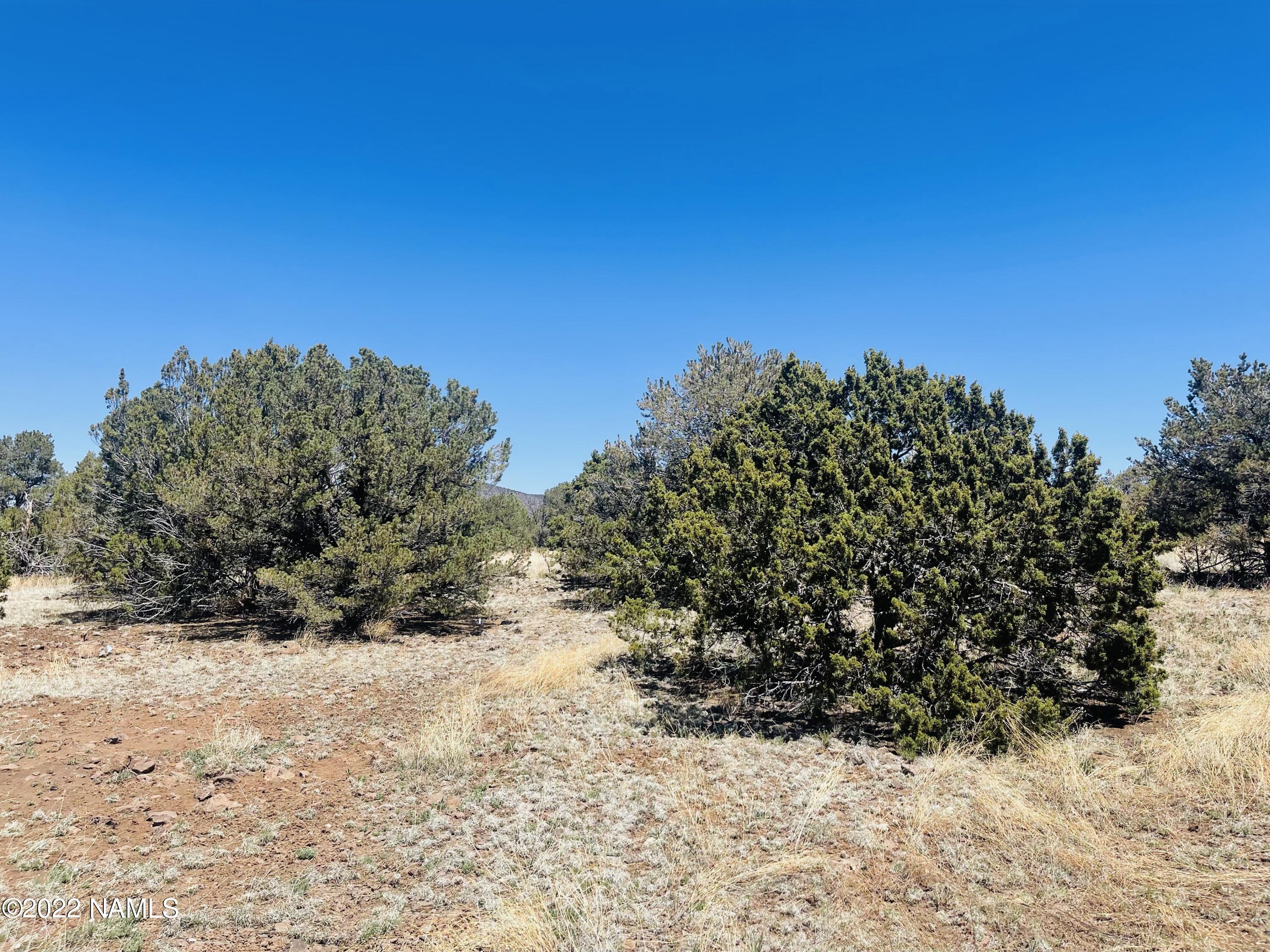 1156 Hoctor Road Williams, AZ 86046 - Photo 6 of 12 1156 E Hoctor Rd Photo 6