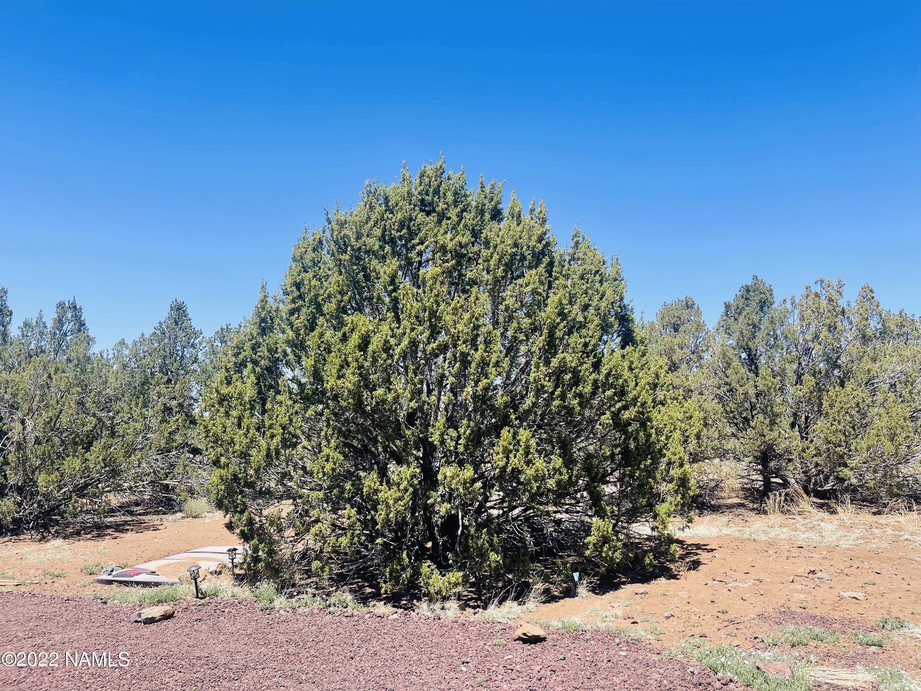 1156 Hoctor Road Williams, AZ 86046 - Photo 7 of 12 1156 E Hoctor Rd Photo 7