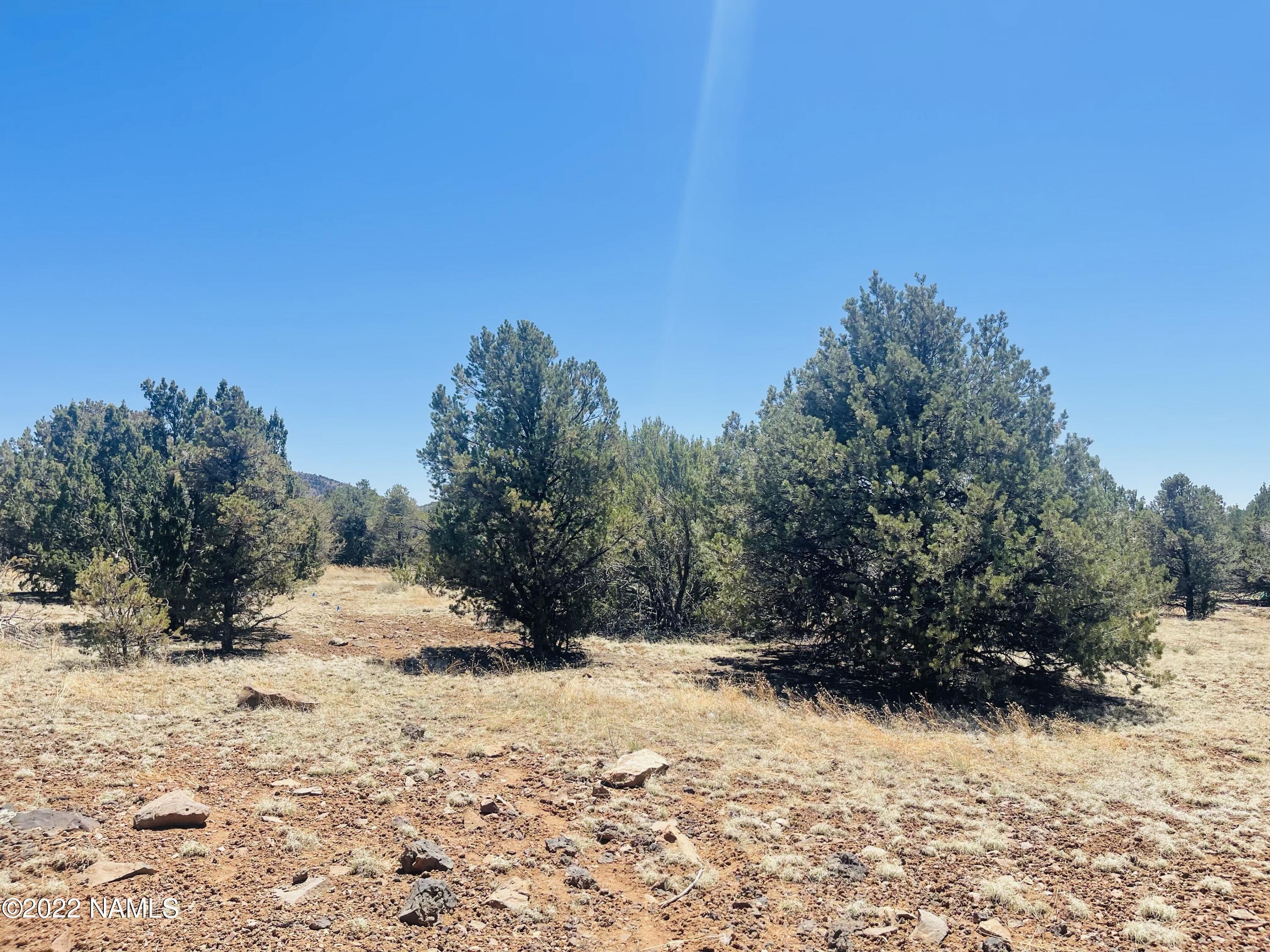 1156 Hoctor Road Williams, AZ 86046 - Photo 8 of 12 1156 E Hoctor Rd Photo 8