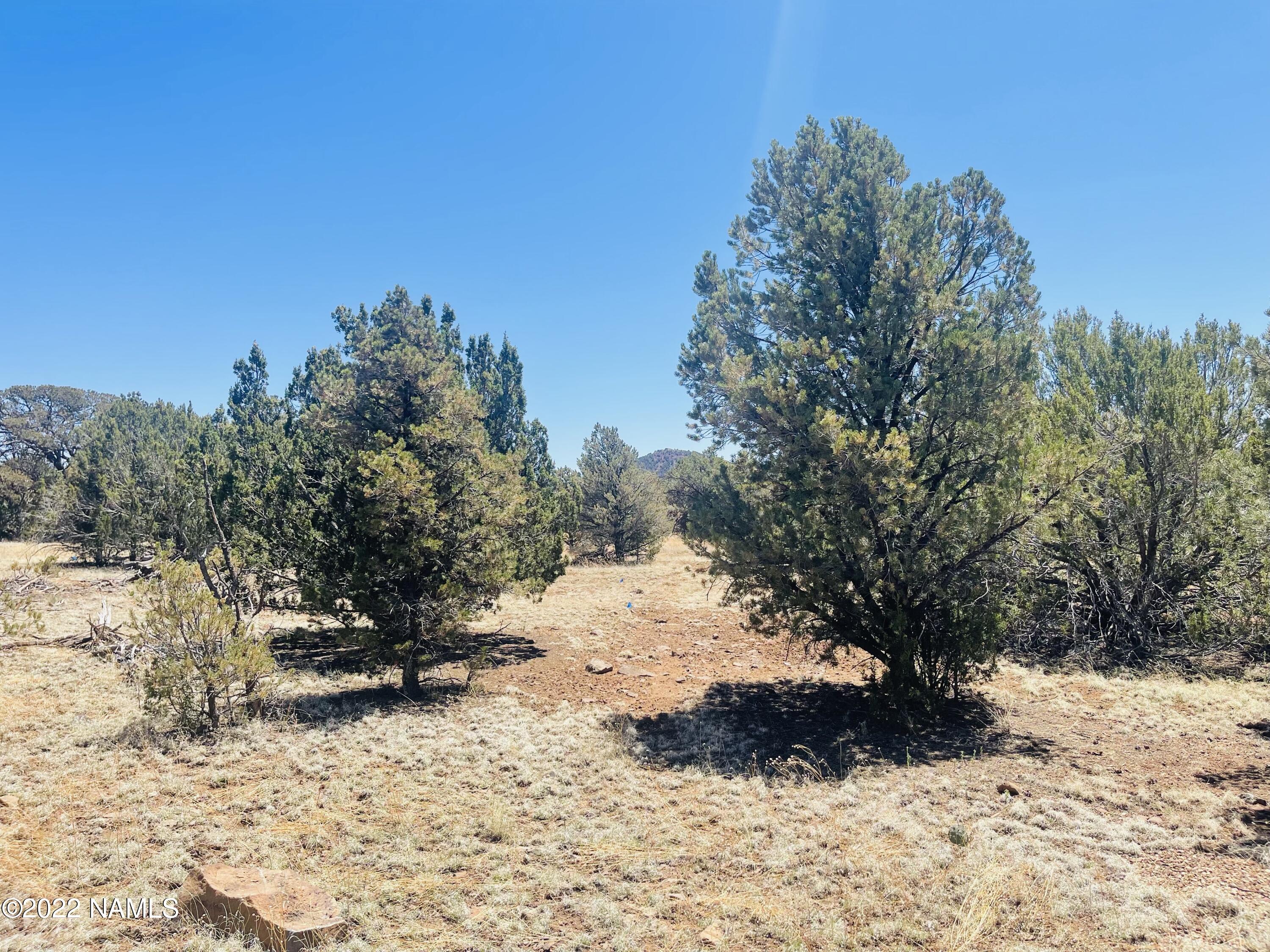 1156 Hoctor Road Williams, AZ 86046 - Photo 9 of 12 1156 E Hoctor Rd Photo 9