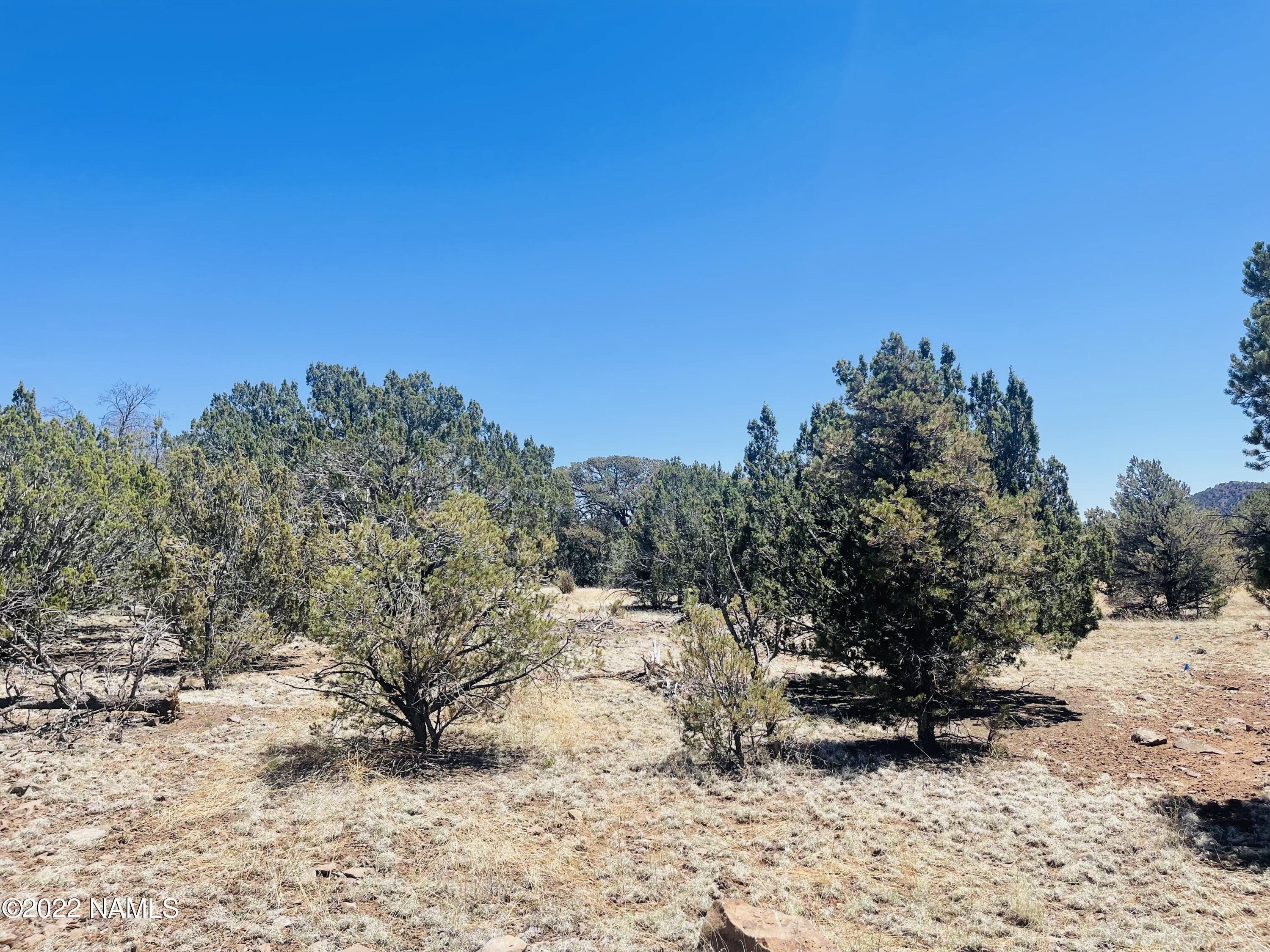 1156 Hoctor Road Williams, AZ 86046 - Photo 10 of 12 1156 E Hoctor Rd Photo 10