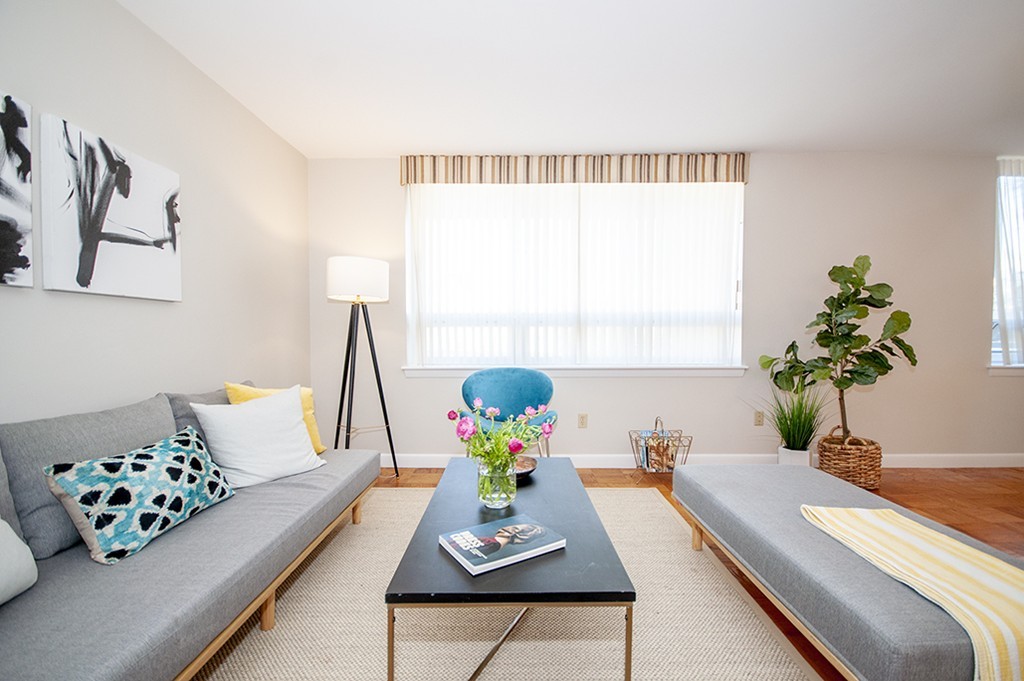 41 Park Street, Unit 207 Brookline, MA 02446 - Photo 3 of 25 a living room with furniture and a potted plant