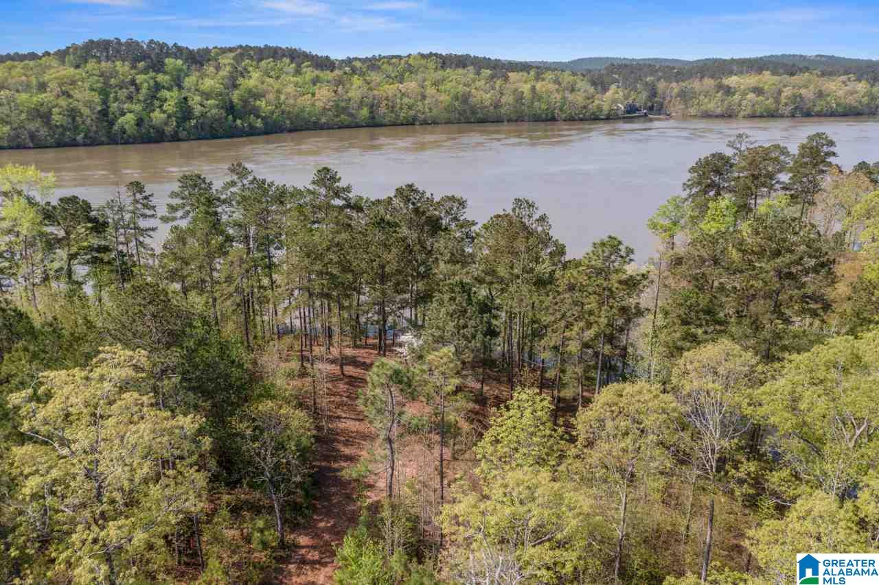 Stillwaters Trail Sylacauga, AL 35151 - Photo 10 of 30