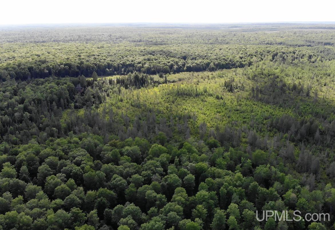 Tbd1 Cut Across Road Michigamme, MI 49861 - Photo 4 of 15