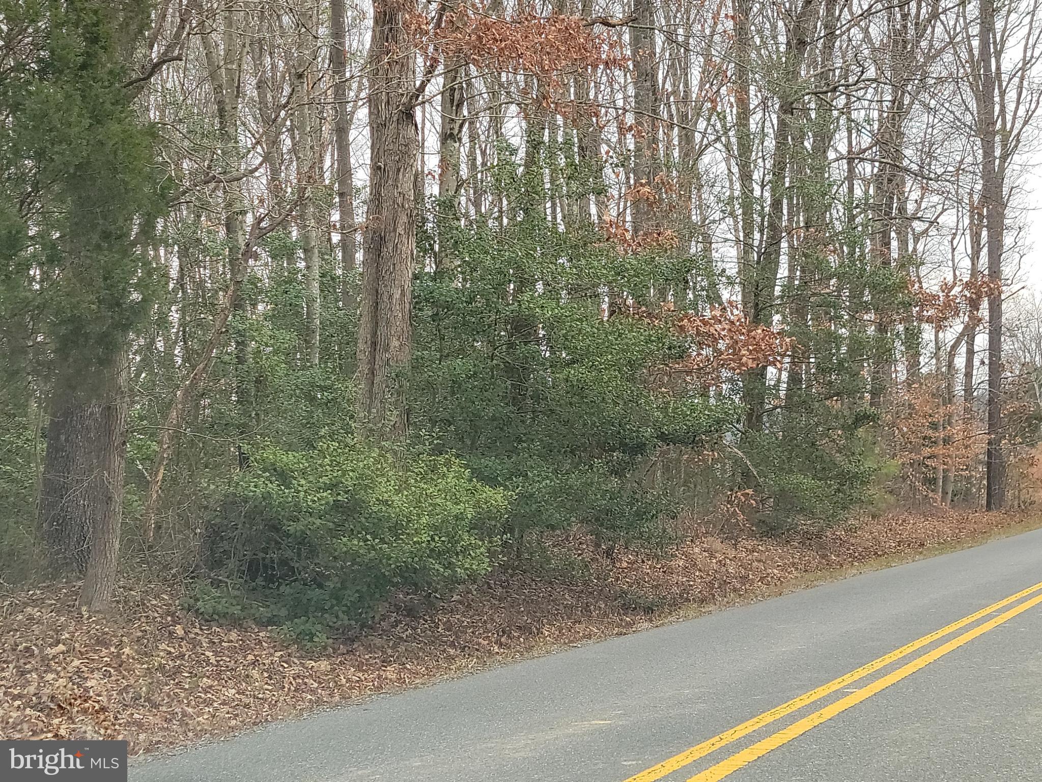 Flat Iron Road Montross, VA 22520 - Photo 5 of 5 a view of a forest from a window