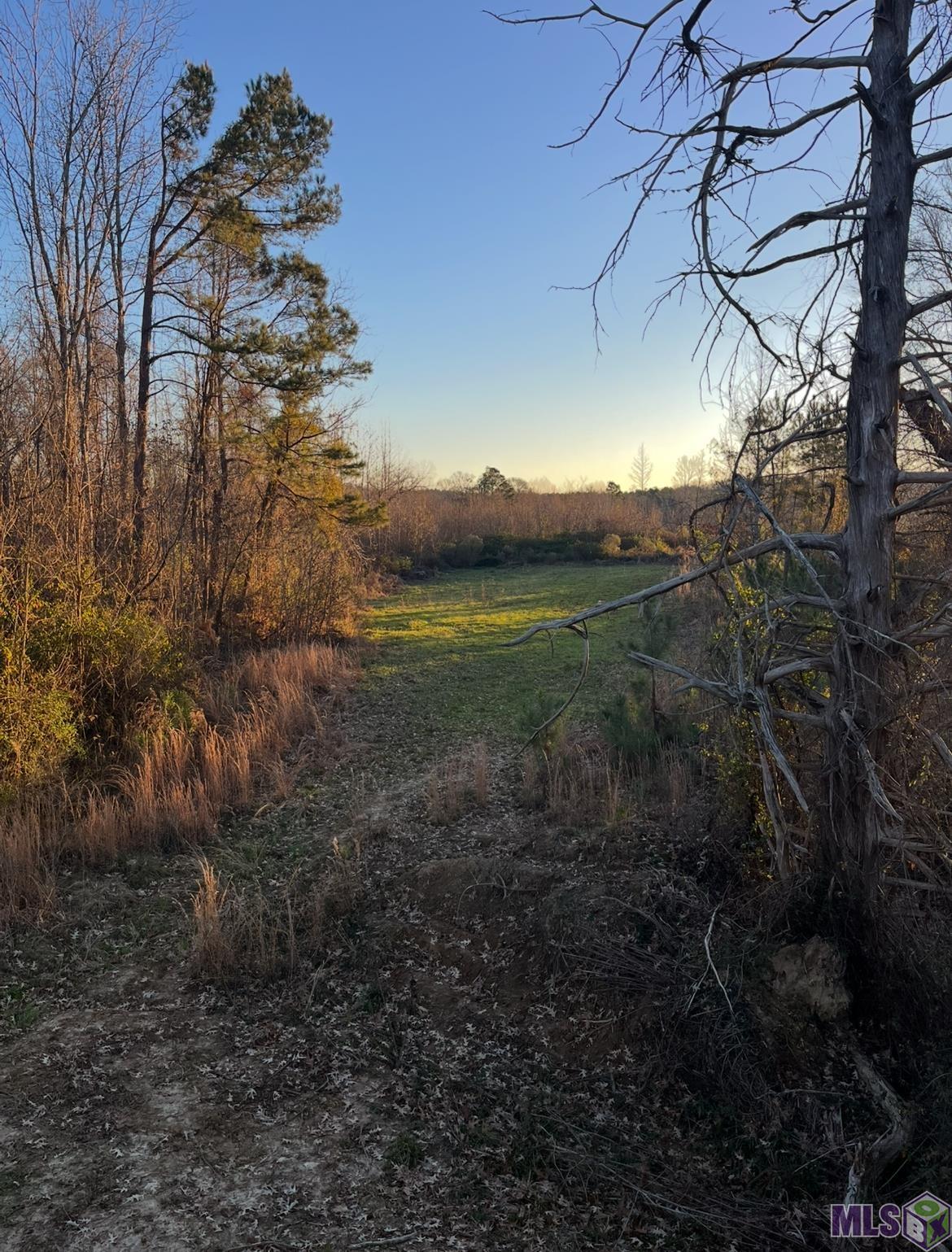 11255 Old Port Gibson Road Port Gibson, MS 39150 - Photo 2 of 32