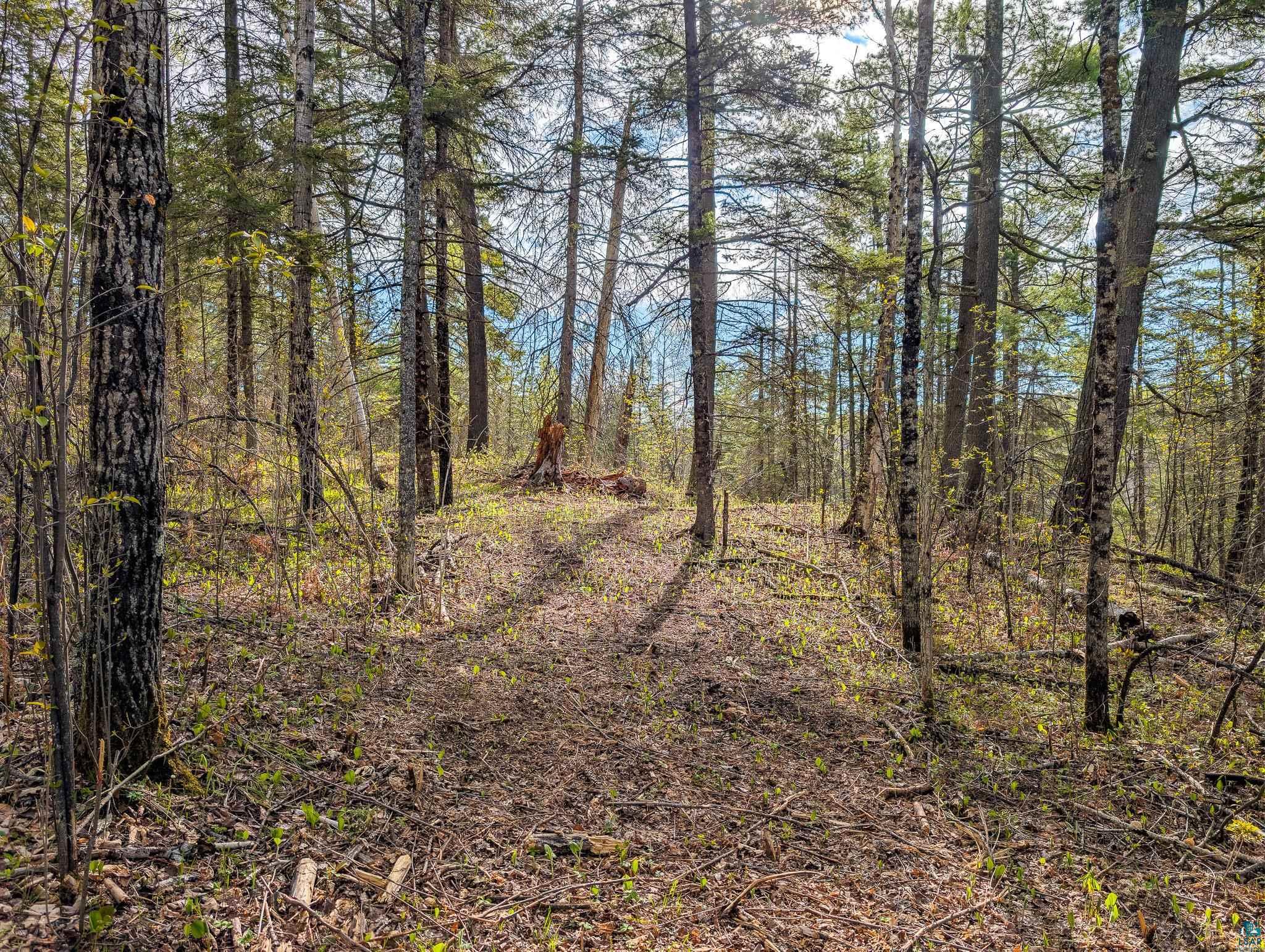 992 Nemadji River Road Holyoke, MN 55749 - Photo 7 of 43