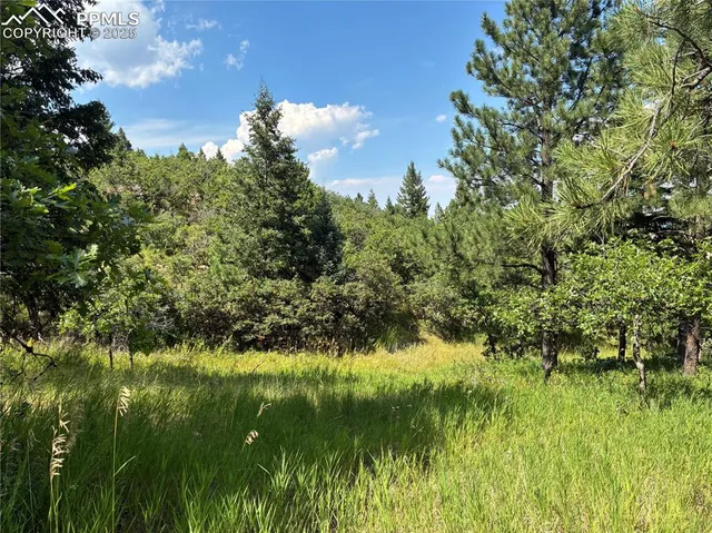 a view of swimming pool from a yard