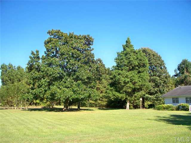 1509 Mt Pleasant Road Willow Spring, NC 27592 - Photo 7 of 7 Large Front Yard