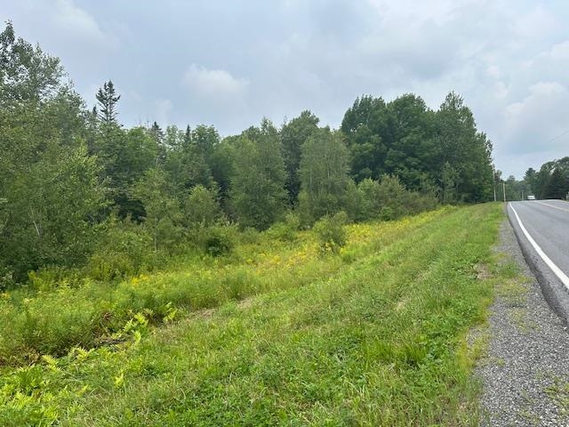 Lot E Handle Road West Dover, VT 05356 - Photo 3 of 9