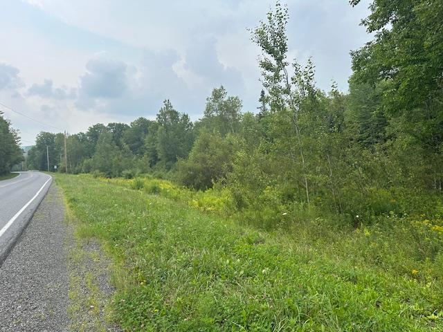 Lot E Handle Road West Dover, VT 05356 - Photo 5 of 9