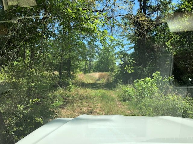 14000 County Road 54 Silverhill, AL 36576 - Photo 5 of 14