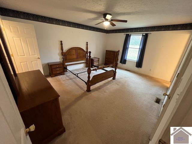 7125 Lovelaceville Road Paducah, KY 42001 - Photo 16 of 33 Photo 16