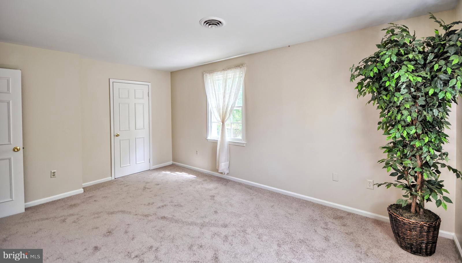 3808 Pippins Place Point of Rocks, MD 21777 - Photo 16 of 26 an empty room with windows and flower pot