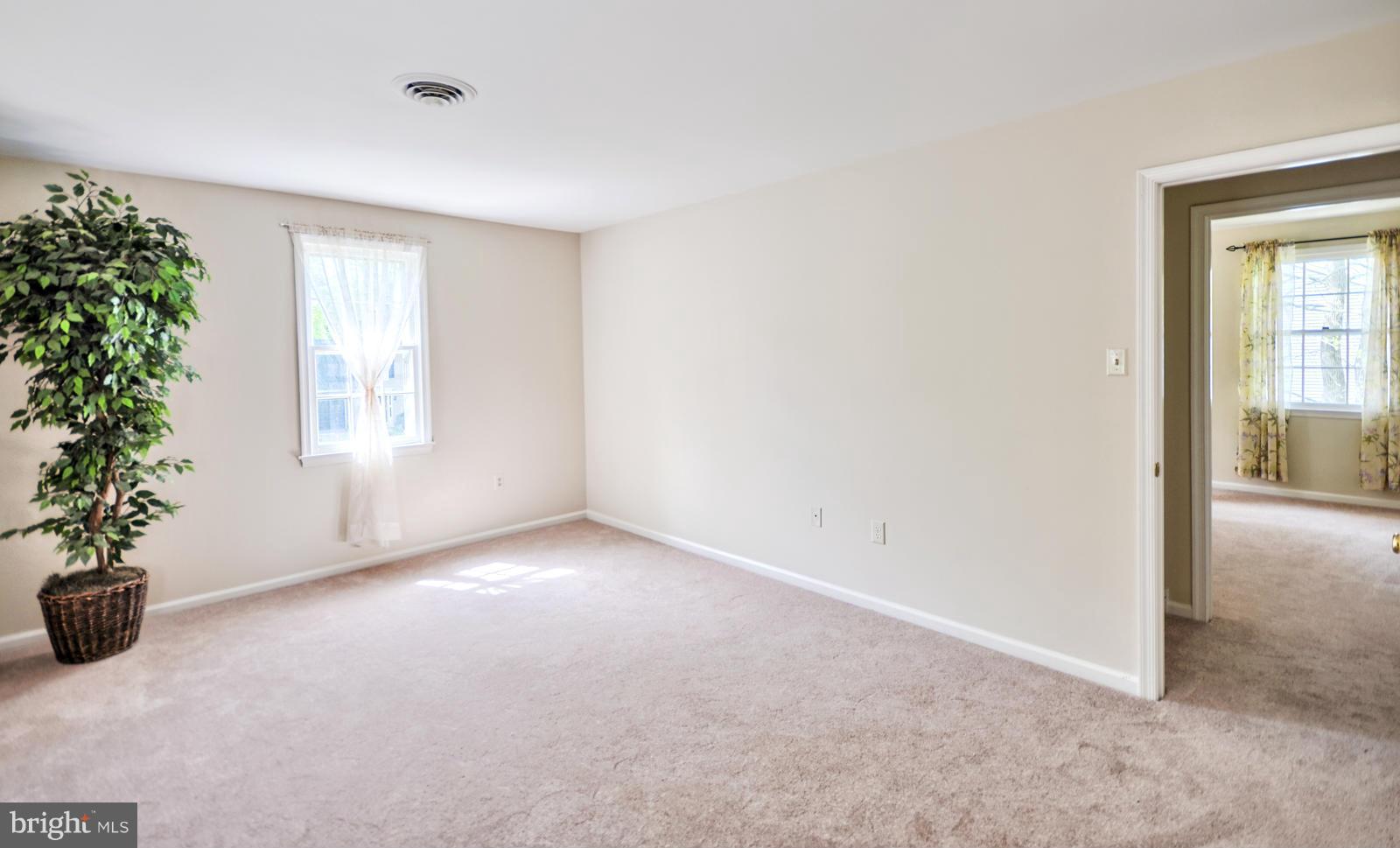 3808 Pippins Place Point of Rocks, MD 21777 - Photo 18 of 26 an empty room with windows and flower pot