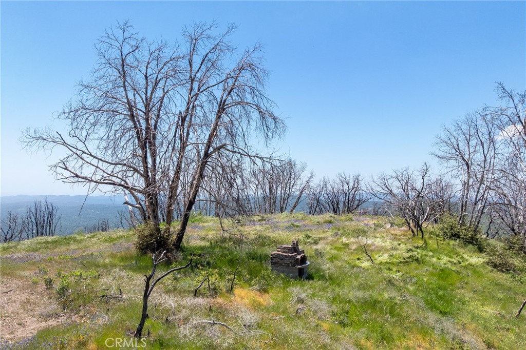 39 Buckingham Mountain Road Mariposa, CA 95338 - Photo 11 of 74 a backyard of a house with yard and trees
