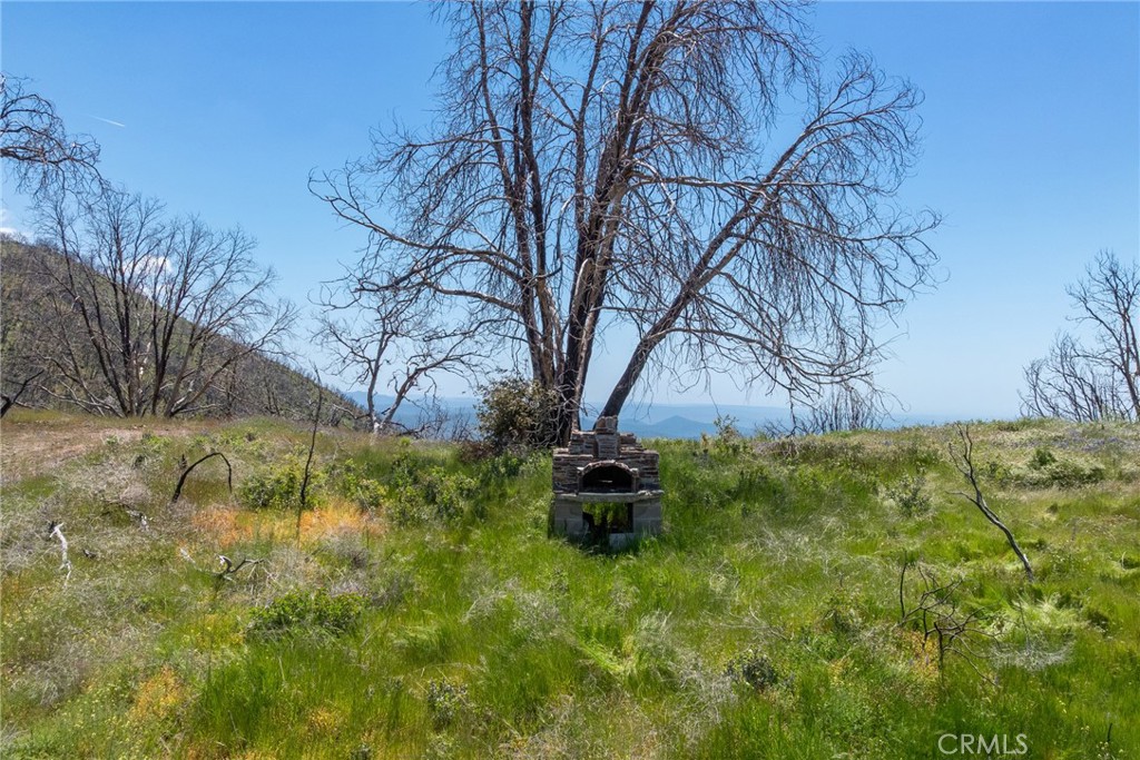 39 Buckingham Mountain Road Mariposa, CA 95338 - Photo 12 of 74 a backyard of a house with lots of green space