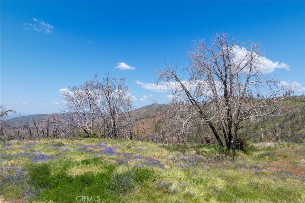 39 Buckingham Mountain Road Mariposa, CA 95338 - Photo 17 of 74