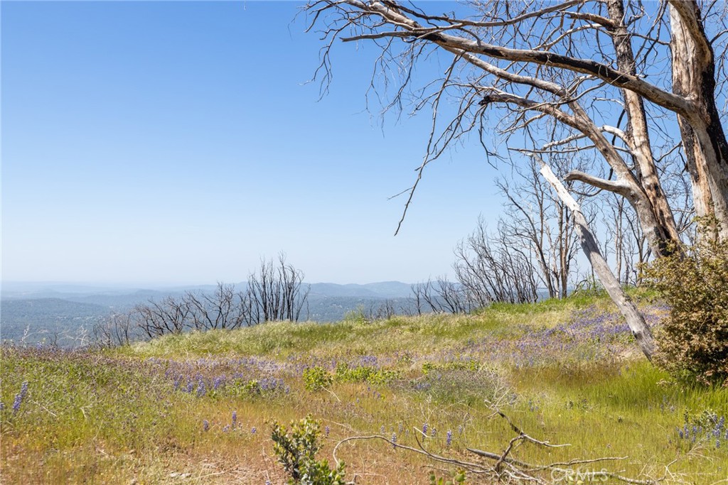 39 Buckingham Mountain Road Mariposa, CA 95338 - Photo 18 of 74 a view of a yard