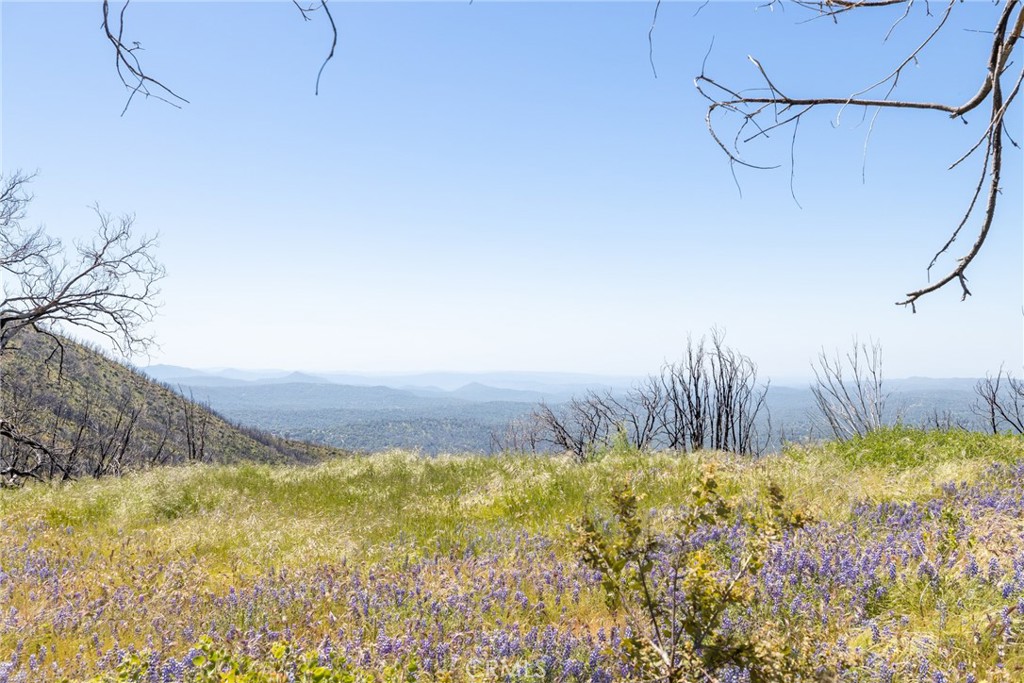 39 Buckingham Mountain Road Mariposa, CA 95338 - Photo 19 of 74