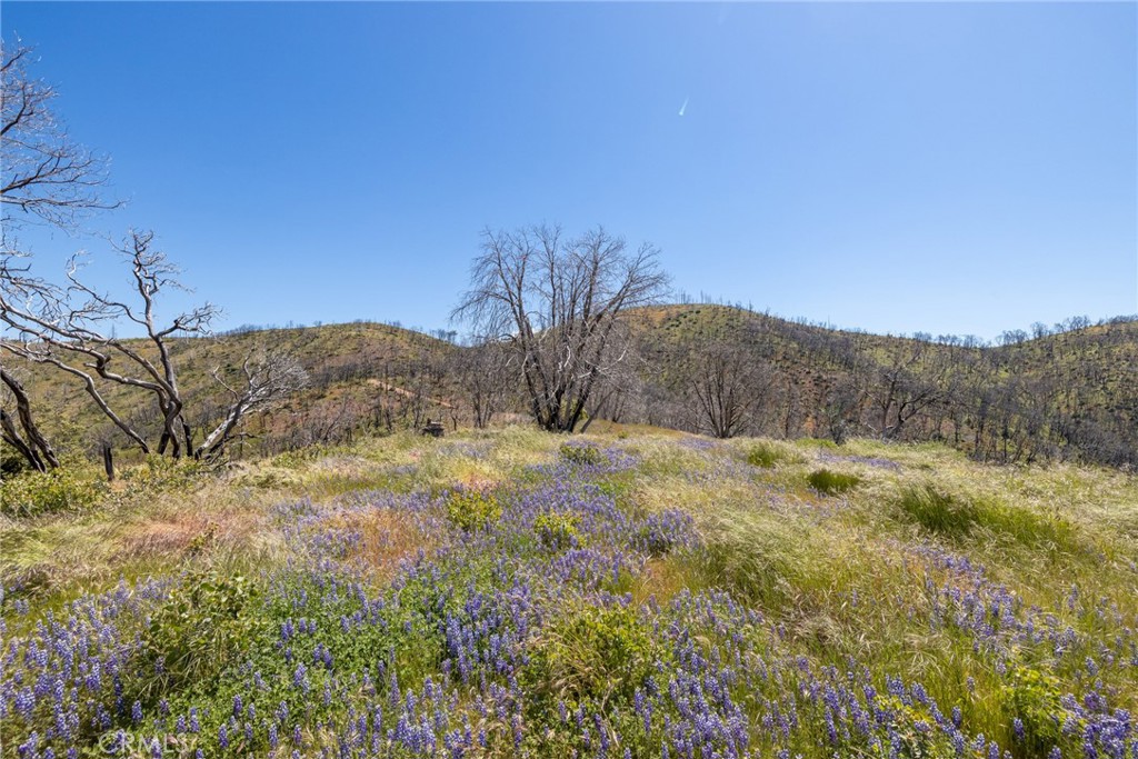39 Buckingham Mountain Road Mariposa, CA 95338 - Photo 21 of 74 a view of a dry yard