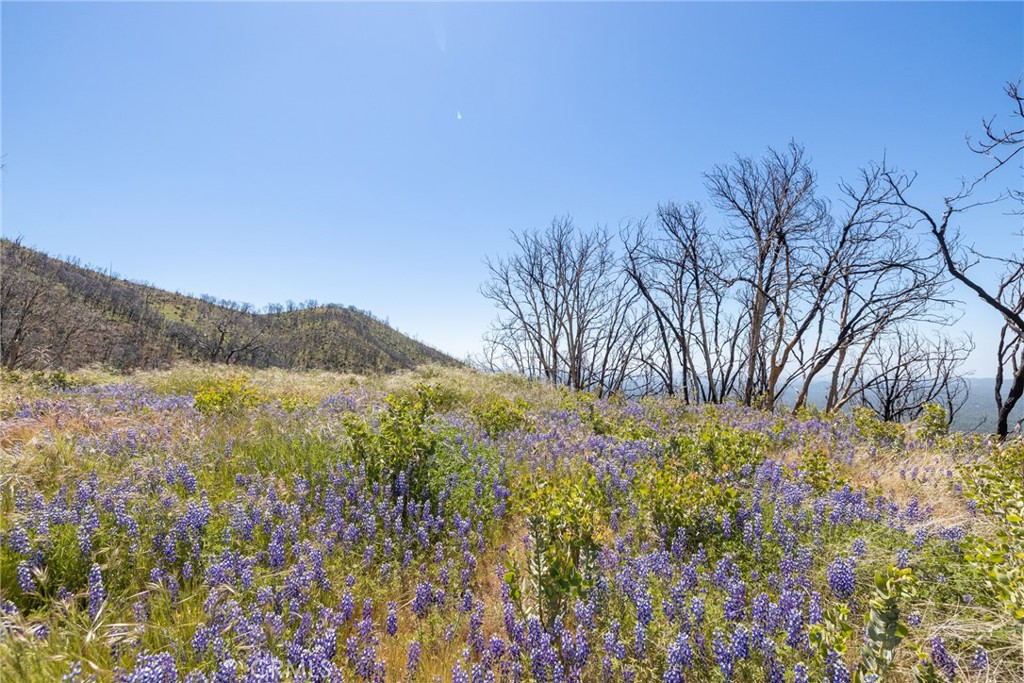 39 Buckingham Mountain Road Mariposa, CA 95338 - Photo 24 of 74