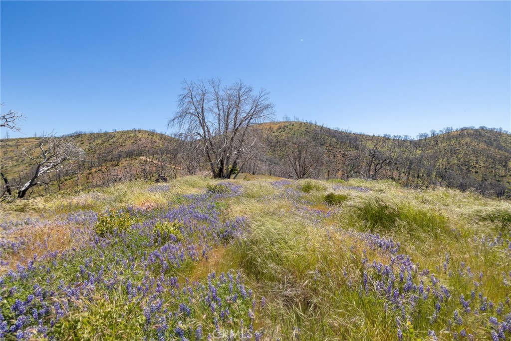 39 Buckingham Mountain Road Mariposa, CA 95338 - Photo 25 of 74 a view of mountain view with mountains in the background