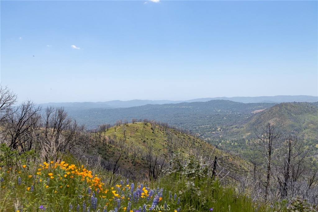 39 Buckingham Mountain Road Mariposa, CA 95338 - Photo 30 of 74 a view of a field of mountains and valleys