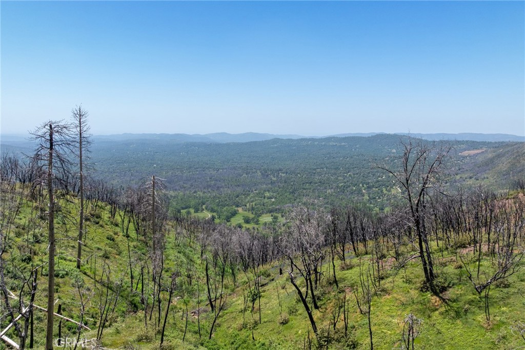 39 Buckingham Mountain Road Mariposa, CA 95338 - Photo 31 of 74