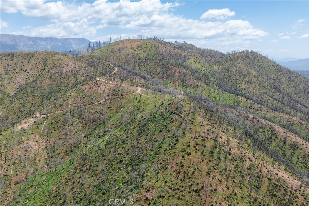 39 Buckingham Mountain Road Mariposa, CA 95338 - Photo 35 of 74 a view of a dry yard with mountains in the background