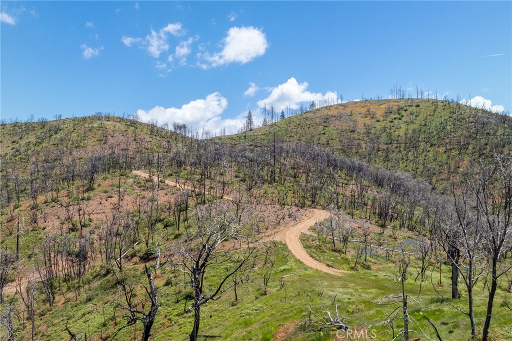 39 Buckingham Mountain Road Mariposa, CA 95338 - Photo 39 of 74 a view of a dry yard