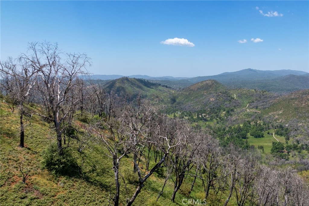 39 Buckingham Mountain Road Mariposa, CA 95338 - Photo 41 of 74